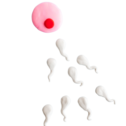 DISENOS-TRAFICO-FRIO-1024x1024